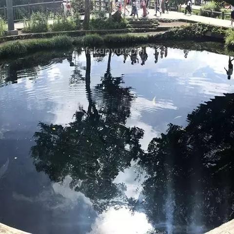 京都大学数据科学&东大情报理工CS合格经验分享